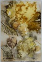 Hydrangea/Eucalyptus by Susie Ranager