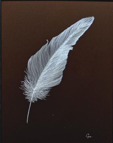 Feather - medium by Cym Doggett
