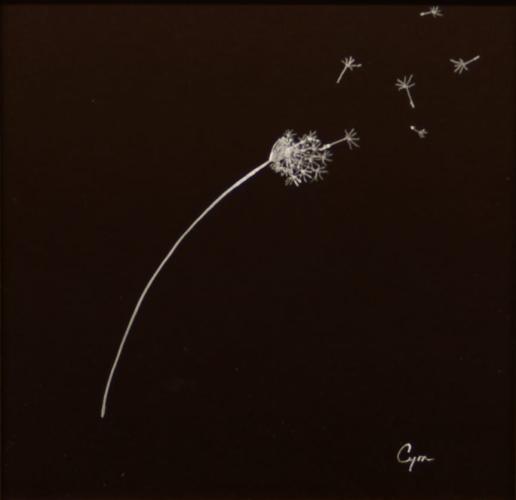 Dandelions - medium small by Cym Doggett