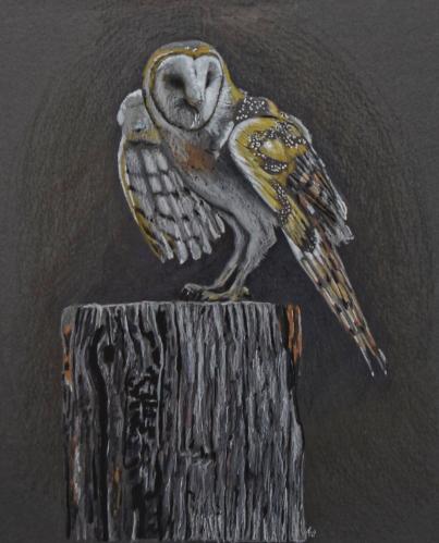 Barn Owl by Ed Ford