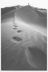 Glamis Sanddunes Silhouette by Bryan Garris