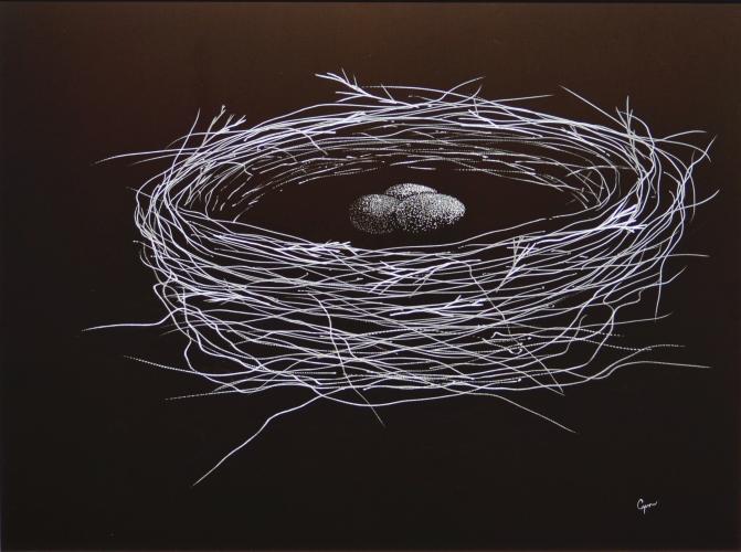 Nest with Eggs - large by Cym Doggett