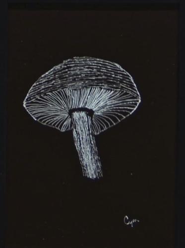 Mushroom - small by Cym Doggett