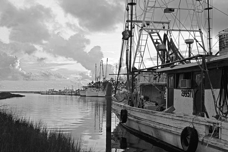 Evening at the Harbor - Giclee B&W by Charlie Taylor