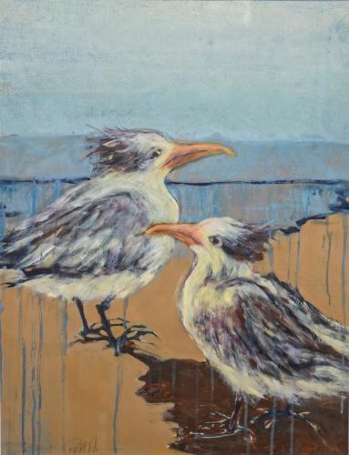 2 Royal Terns by Patt Odom