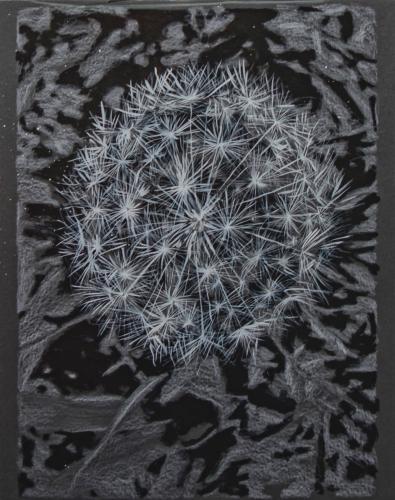 Dandelion by Ed Ford